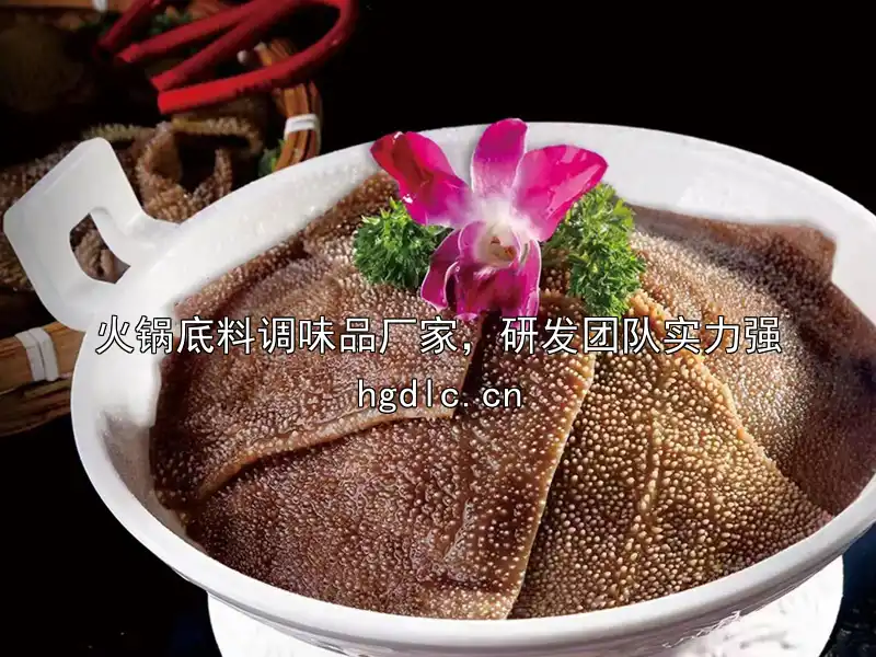 火锅底料调味品厂家，研发团队实力强