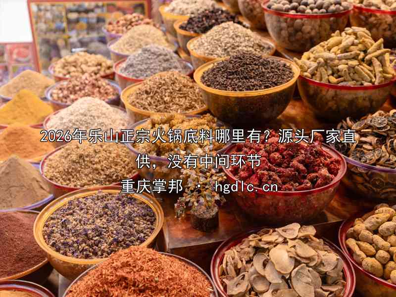 2026年乐山正宗火锅底料哪里有？源头厂家直供，没有中间环节