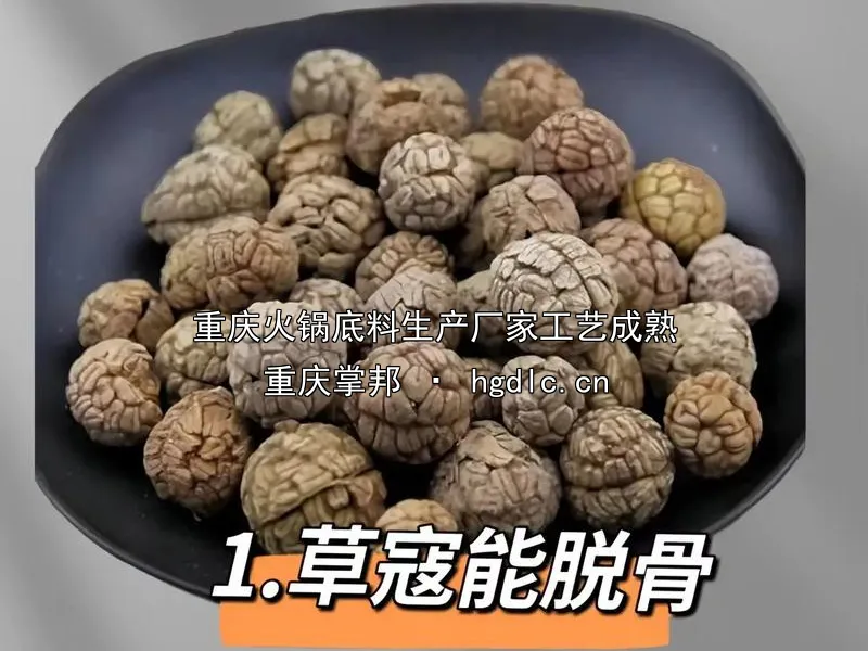 重庆火锅底料生产厂家工艺成熟