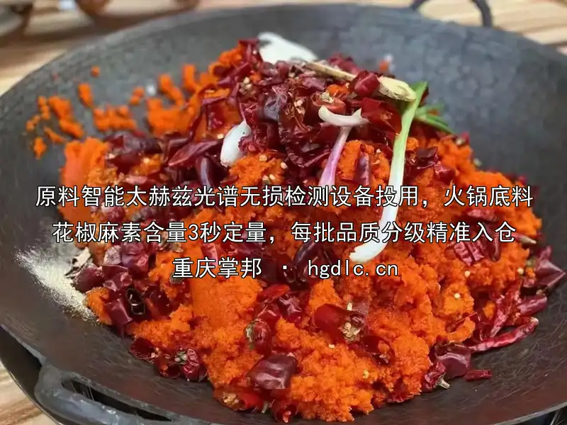 原料智能太赫兹光谱无损检测设备投用，火锅底料花椒麻素含量3秒定量，每批品质分级精准入仓