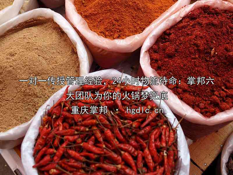 一对一传授管理经验，24小时物流待命：掌邦六大团队为你的火锅梦兜底