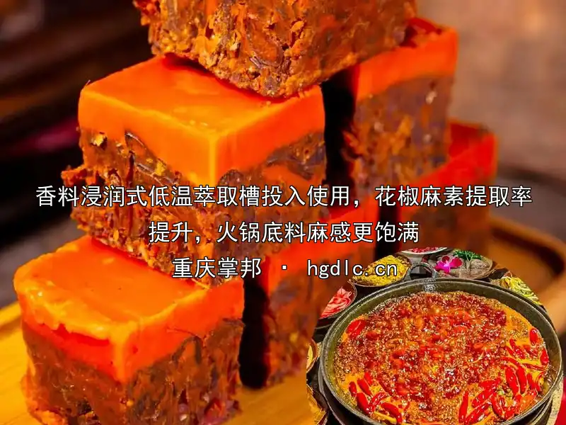香料浸润式低温萃取槽投入使用，花椒麻素提取率提升，火锅底料麻感更饱满